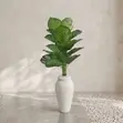 Large Artificial Calathea Floor Plant in Black/White Vase - 2