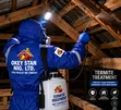 Professional Termite Treatment & Control Services - 2
