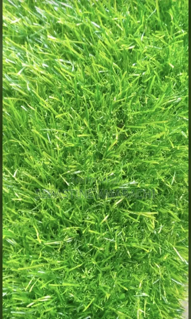 Premium Artificial Carpet Grass - 1