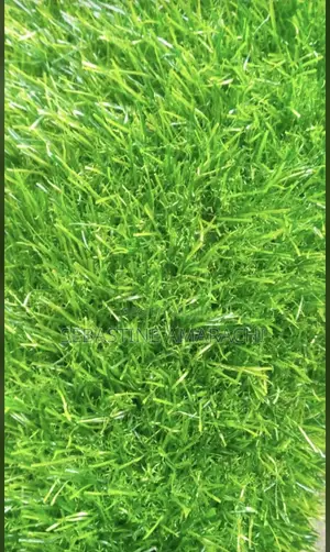 Premium Artificial Carpet Grass