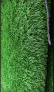 Premium Artificial Carpet Grass - 2