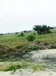 1700 SQM Residential Land with Demolishable Structure, Maitama Main Abuja - 1