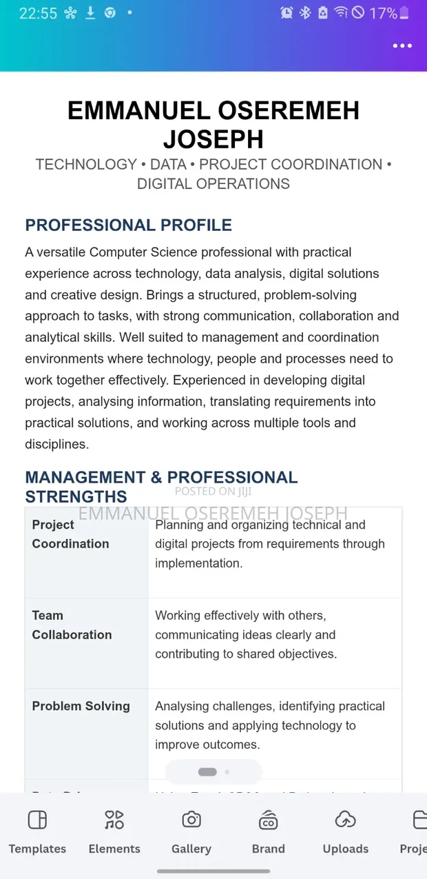 Professional Profile - Website Development & Management - 1