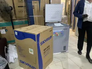 Skyrun BD-90A 90L Chest Freezer