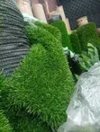 Artificial Grass 50mm - Double Color - 1