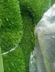 Artificial Grass 50mm - Double Color - 5