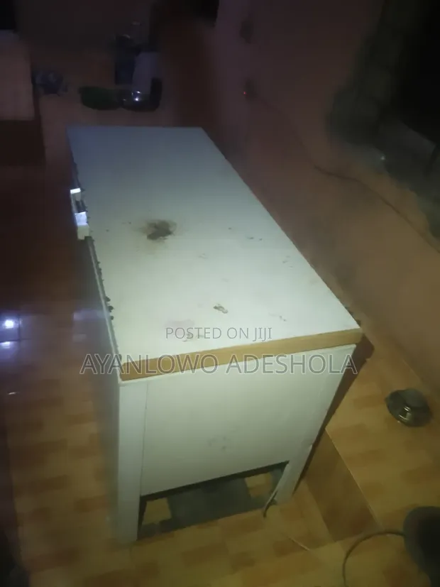 Bosch Chest Freezer - Working - 1