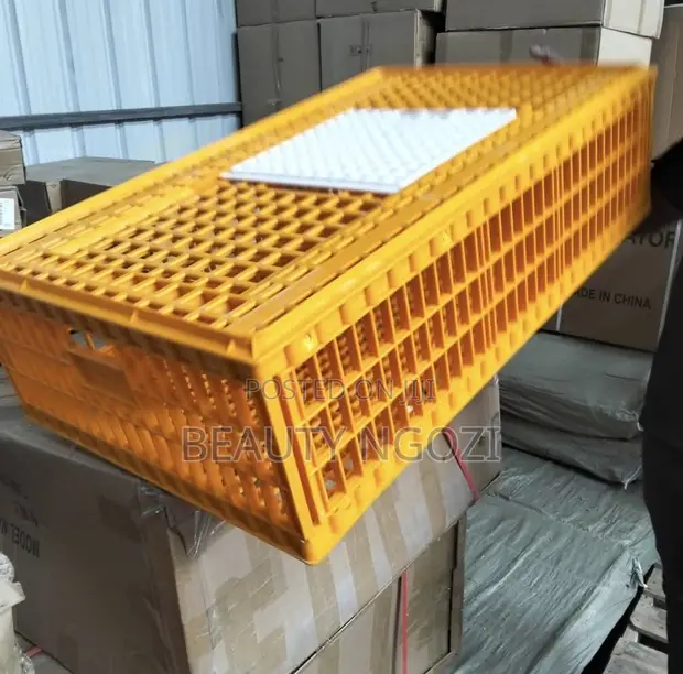 Poultry Transport Crate - 1