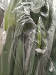 Shuka Jabuwar Ganyen Ayaba - Akwai Yawa - 1