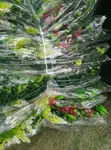 Wall Flower Mat - Bulk Available - 2
