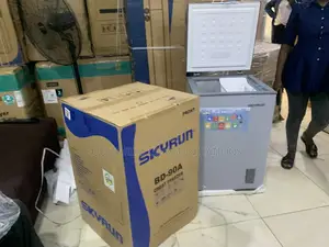 Skyrun 90L Chest Freezer don Amfani a Gidan Abinci