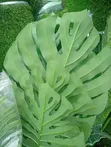 Babban Ingancin Gaskiyar Artificial Flower - 1