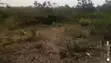 2 Plots of Land at Sanusi Idi Ayunre, Opposite Chi Farms - 1