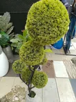 Babban Ingancin Furannin Artificial - Siyarwa da Rarrabawa - 1