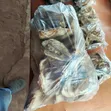 Stockfish Dealer - Various Grades Available - 3