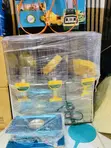 Brand New 3-Chamber Juice Dispenser - 2