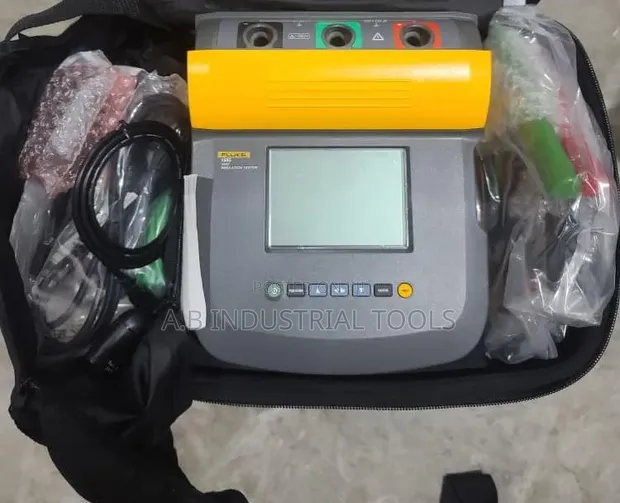 Fluke 1555 Insulation Tester - 1