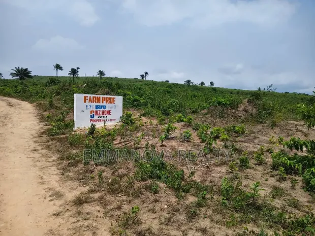 Farm Land for Sale in Ibeju Lekki, Lagos - 1