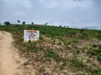 Farm Land for Sale in Ibeju Lekki, Lagos - 1
