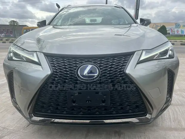 2020 Lexus UX 250h Hybrid SUV - Full Option - 1