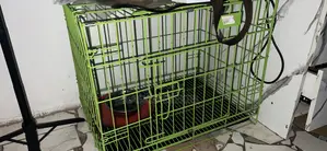 Dog Cage - 2 Months Used, Metal