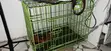 Dog Cage - 2 Months Used, Metal - 2