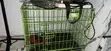 Dog Cage - 2 Months Used, Metal - 3