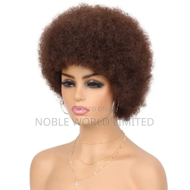 Afro Wig Human Hair - 1