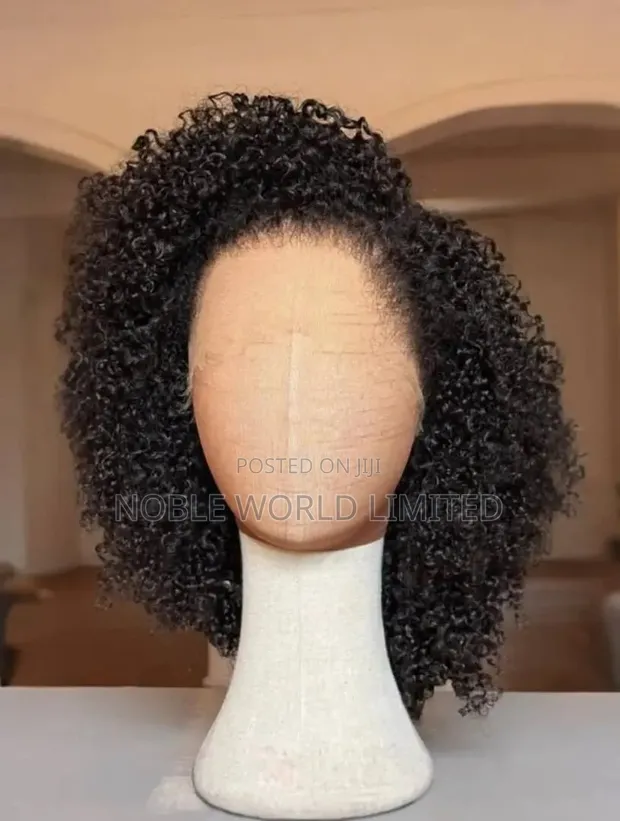 Full Frontal Human Hair Wig - 1