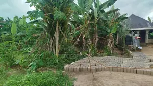 Golden Estate Land for Sale, Omukwe Oparagwa, Omagwa, Rivers State
