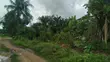 Filin Zinare don Siyarwa, Omukwe Oparagwa, Omagwa, Jihar Rivers - 2
