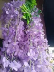 Artificial Dropping Flowers - Brand New - 1