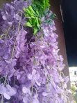 Artificial Dropping Flowers - Brand New - 5