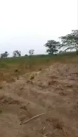 10 Acres Commercial/Residential Land for Sale, Idi Iya, Iseyin - 2