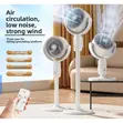 Babban Fan Mai Sake Caji Mai Girma tare da Remote Control - 2