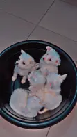 Yar Kwaiyar American Eskimo (Wata 1-3) - 3