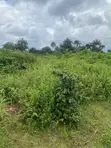 1 Full Plot of Land at Amaoba Estate, Old Umuahia - 1