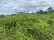 1 Full Plot of Land at Amaoba Estate, Old Umuahia - 2