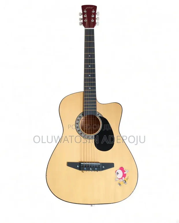 Gibson Acoustic Guitar - Refurbished - 1