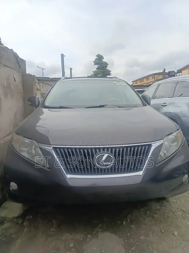 Lexus RX 2010 Gray - 1