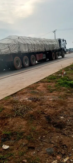 Certified Dangote & Bua Cement Distributor