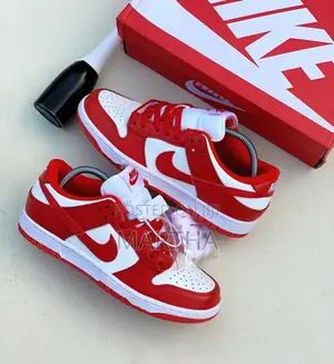 Nike SB Sneakers