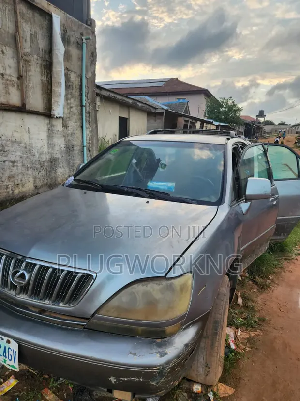 Lexus RX 300 2003 Silver - 1