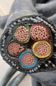 Coleman 50mm x 4 Core Armoured Cable (Brand New) - 2