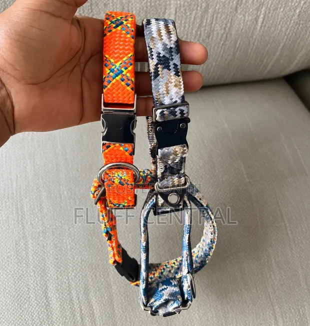 Adjustable Woven Nylon Pet Collar with Metal Buckle (2.5cm) - 1