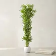 Artificial Blue Blossom Floor Plant in Luxury Vase - 1