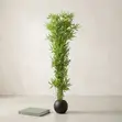 Artificial Blue Blossom Floor Plant in Luxury Vase - 2