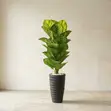 Artificial Floor Plant in Terrazzo Planter (72 Inches) - 1