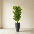 Artificial Floor Plant in Terrazzo Planter (72 Inches) - 2