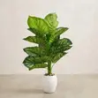 Artificial Calathea / Zebra Plant Decorative Faux Plant - 1